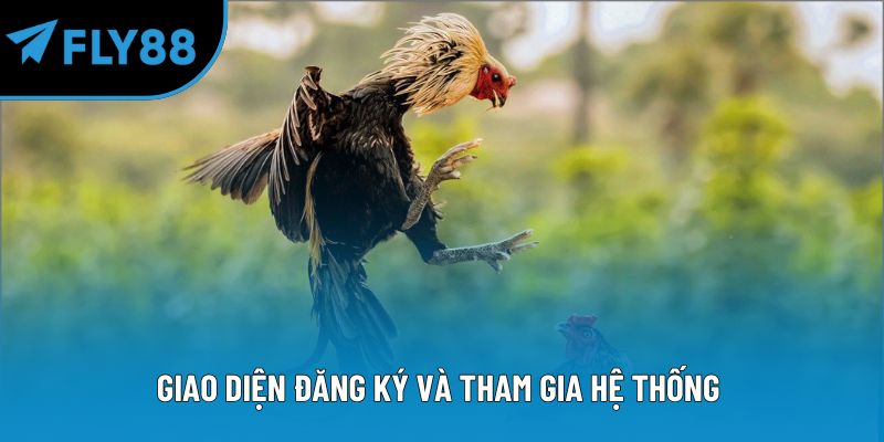 Giao diện đăng ký và tham gia hệ thống 